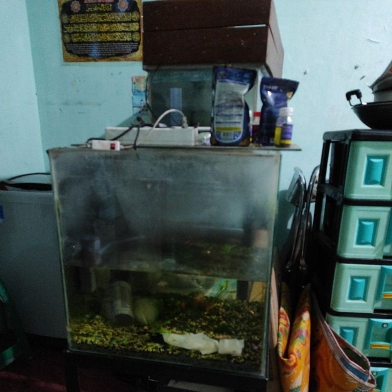 aquarium bekas besar