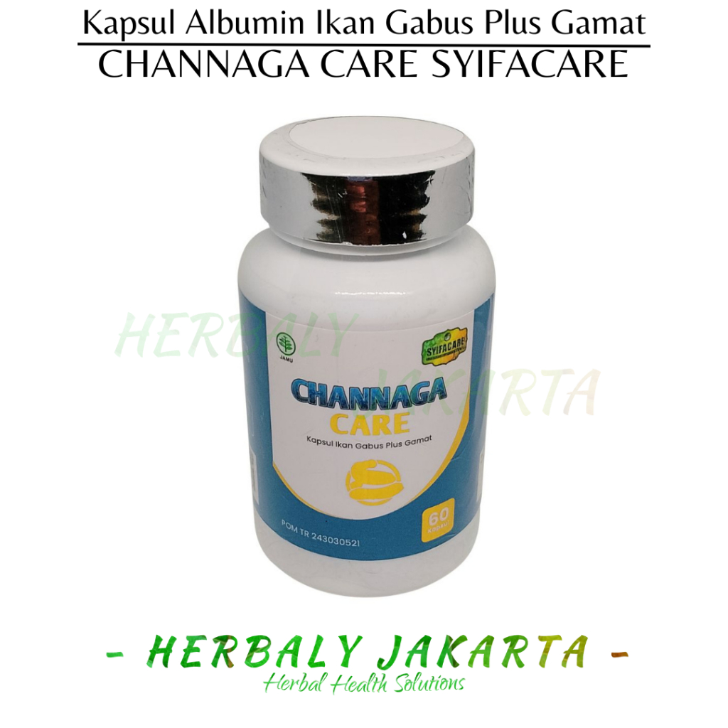 CHANNAGA CARE SYIFACARE KAPSUL EKSTRAK IKAN GABUS DAN GAMAT EMAS BPOM