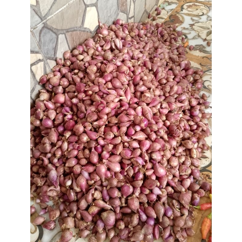 

bawang merah 1 kg.