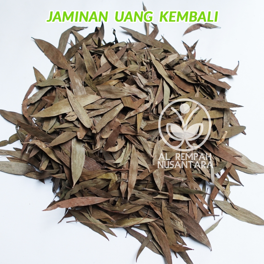 

Daun Kayu Putih 250gr Kering Asli dan Murah