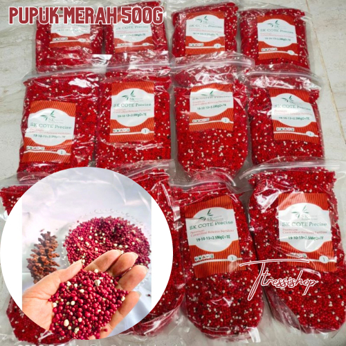 Pupuk Merah AGLONEMA 500 Gram Pupuk Merah Slow Release 1 Kg /Pupuk Merah Aglonema SK Cote 19-10-13