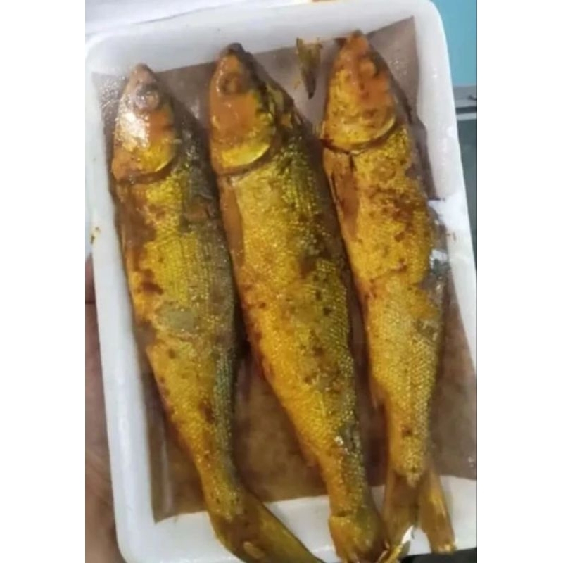 

bandeng presto 2 pcs