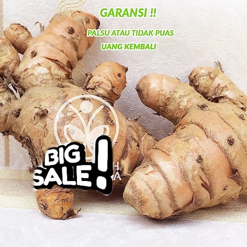 

temulawak segar obat herbal alami 1 kg