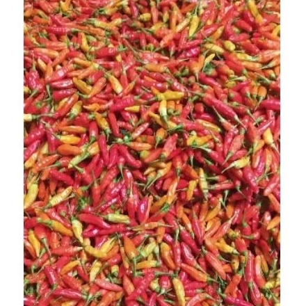 

Cabe rawit ori 500gram(1/2kg)