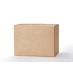 

Baoerden Karton kraft menebal (kemasan eksklusif untuk beberapa produk di toko ini, harap jangan memesan)