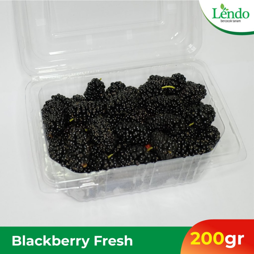 

Blackberry Fresh 200gr