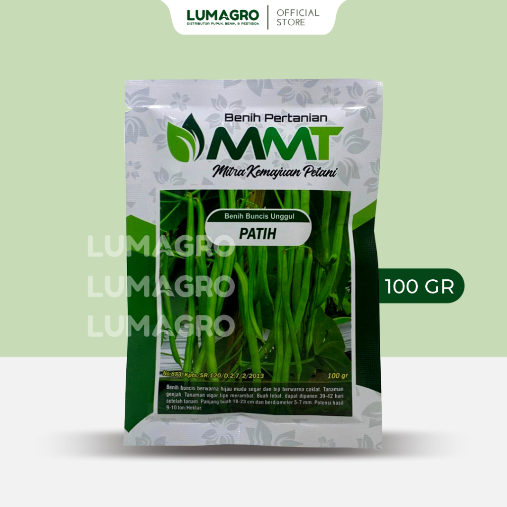 Benih Buncis Patih 100gr Bibit Unggul Tahan Virus Kuning MMT