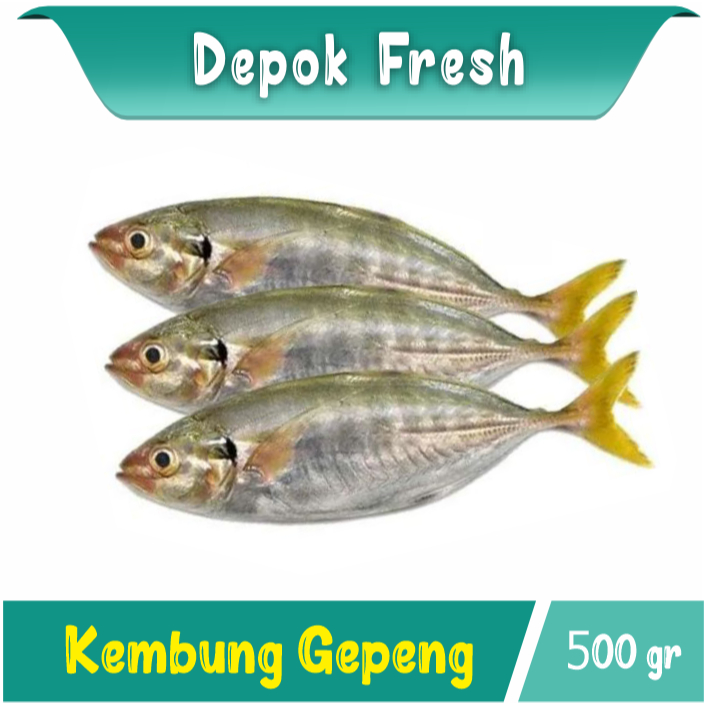 

IKAN KEMBUNG GEPENG SEGAR 500 GRAM