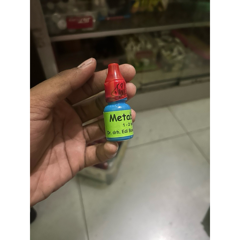 metabolis segel merah penggacor burung khusus burung kontes
