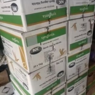 1DUS ISI 20KG BENIH JAGUNG HIBRIDA NK 212 PENDEKAR SAKTI KEMASAN 1KG SYNGENTA ORIGINAL