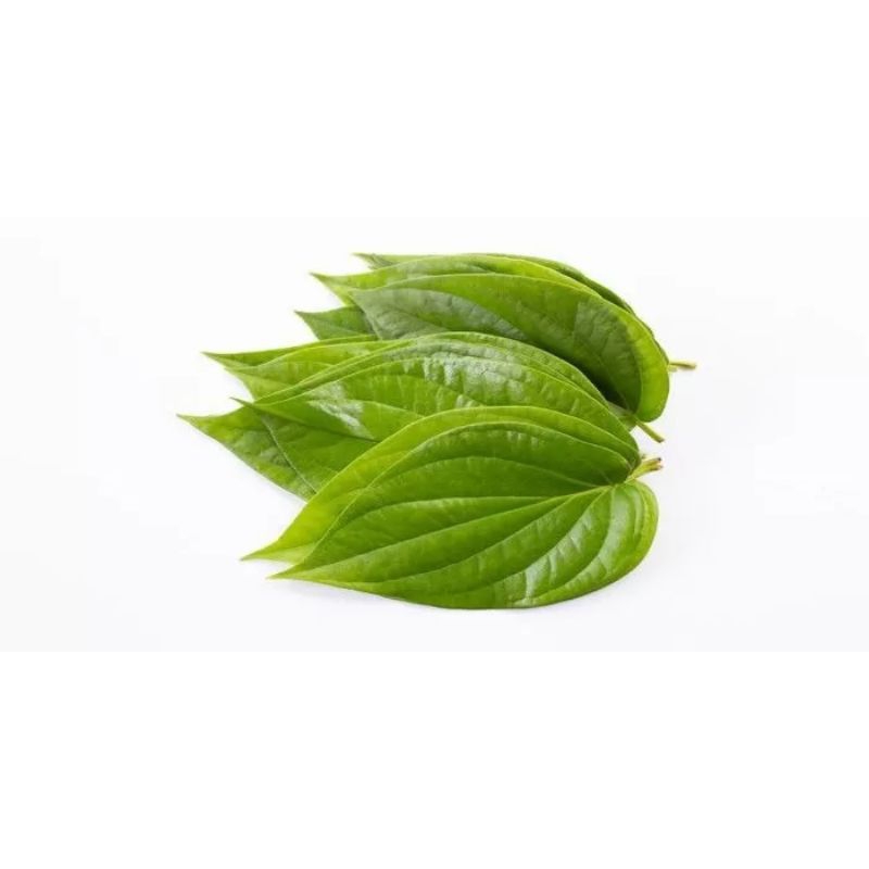 

daun-sirih-obat-herbal-alami