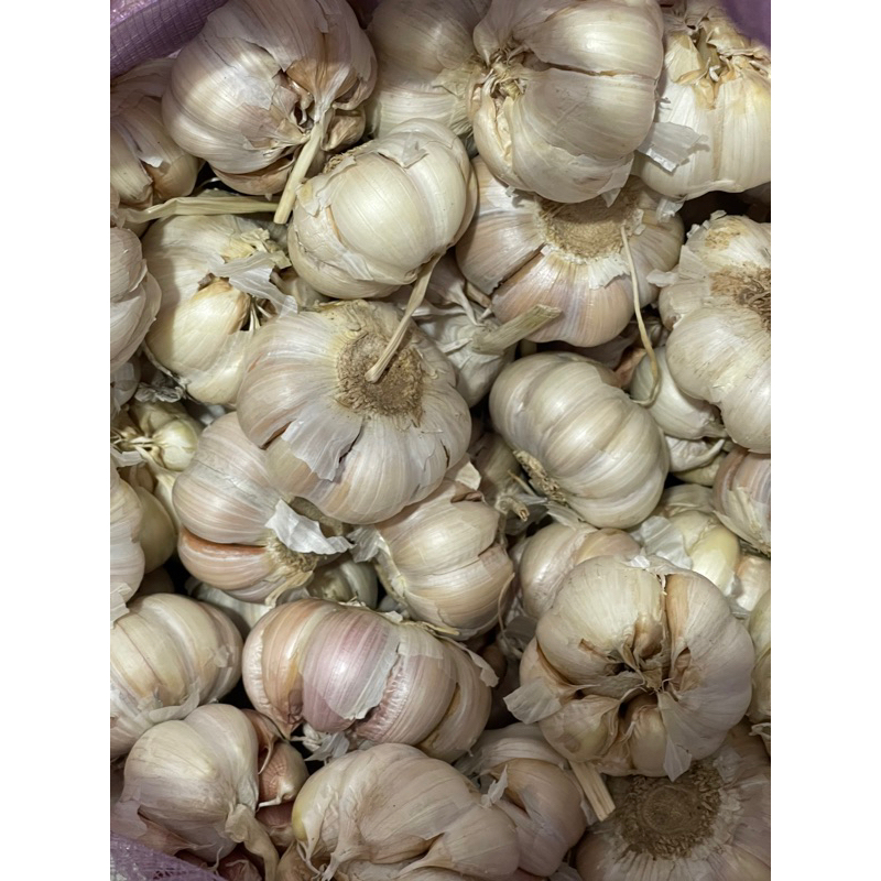 

bawang putih murah/bawang putih bersih/bawang putih super/bawang putih sico/bawang putih kering/bawang putih 250gr