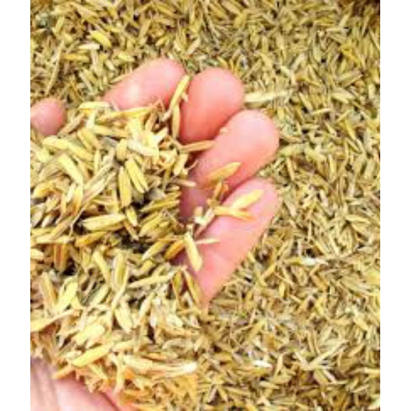 Sekam PADI / KULIT PADI 1 Karung ukuran 10 Kg