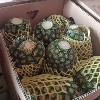 

nanas madu sunpride super manis pollll berat 800gr-1000gr