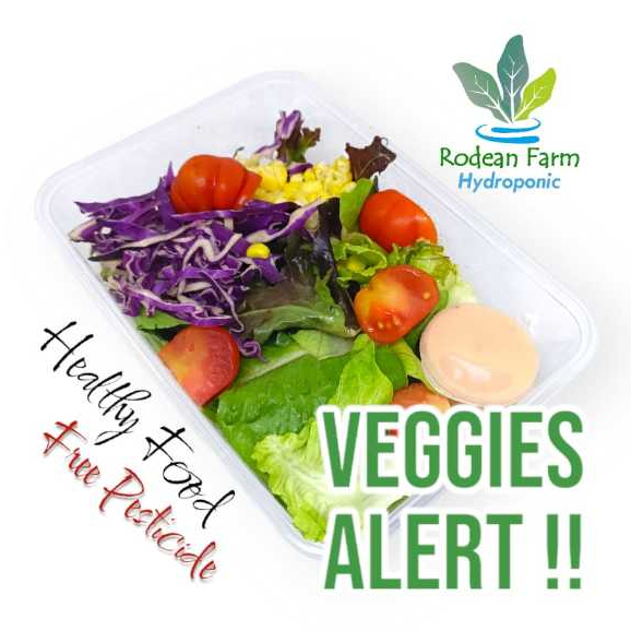 

Salad Sayur Sehat Fresh Siap Makan Healty Food