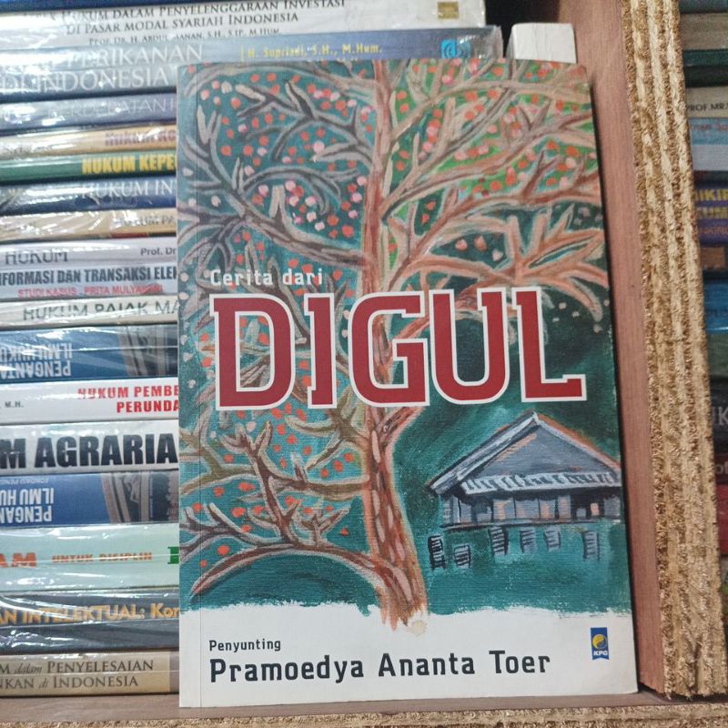 Pramoedya Ananta Toer - Cerita dari DIGUL