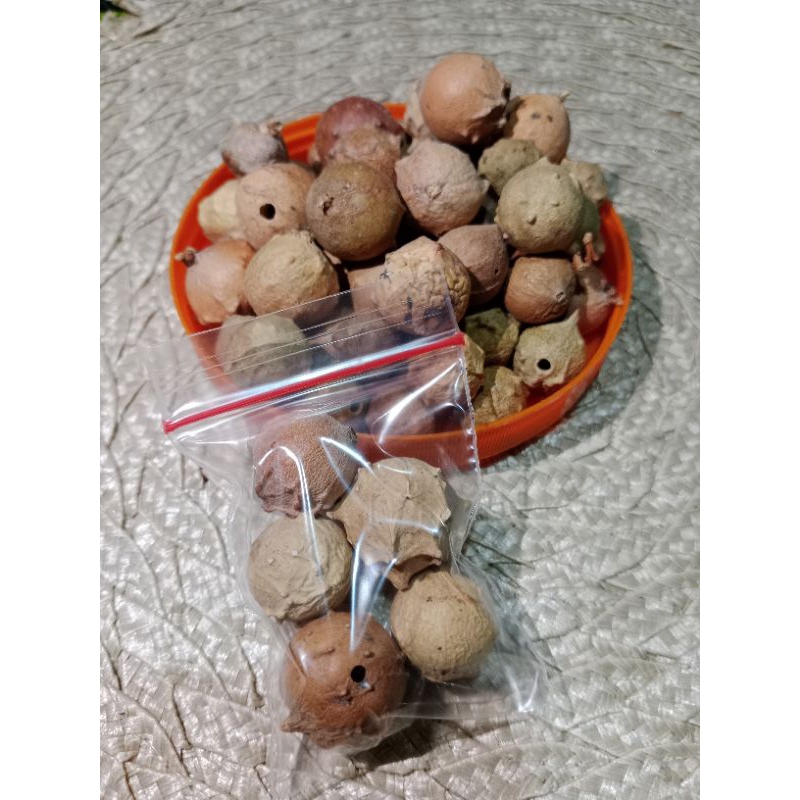 

Buah Manjakani Kering/Buah Majaan