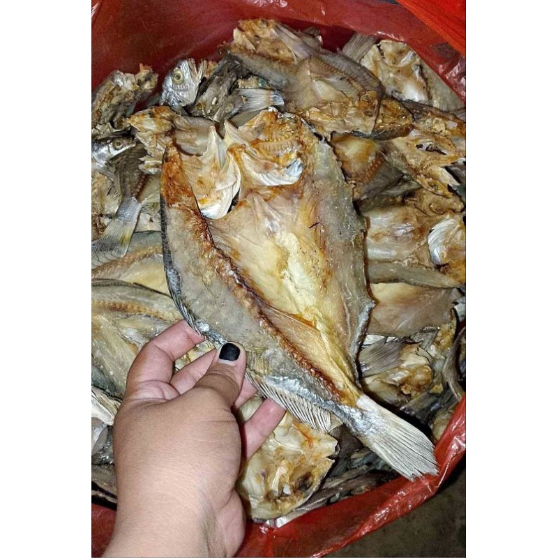 

Ikan Asin Jambal Roti utuh