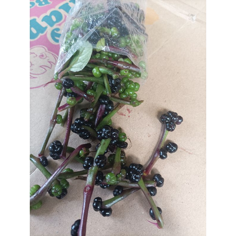 

Buah binahong ungu segar pet, 100gram