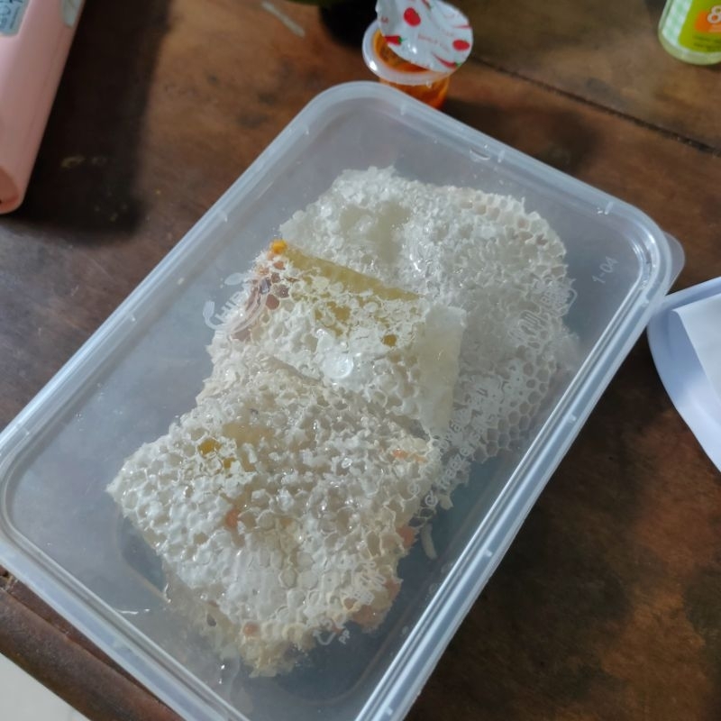 

madu sarang liar apis cerana