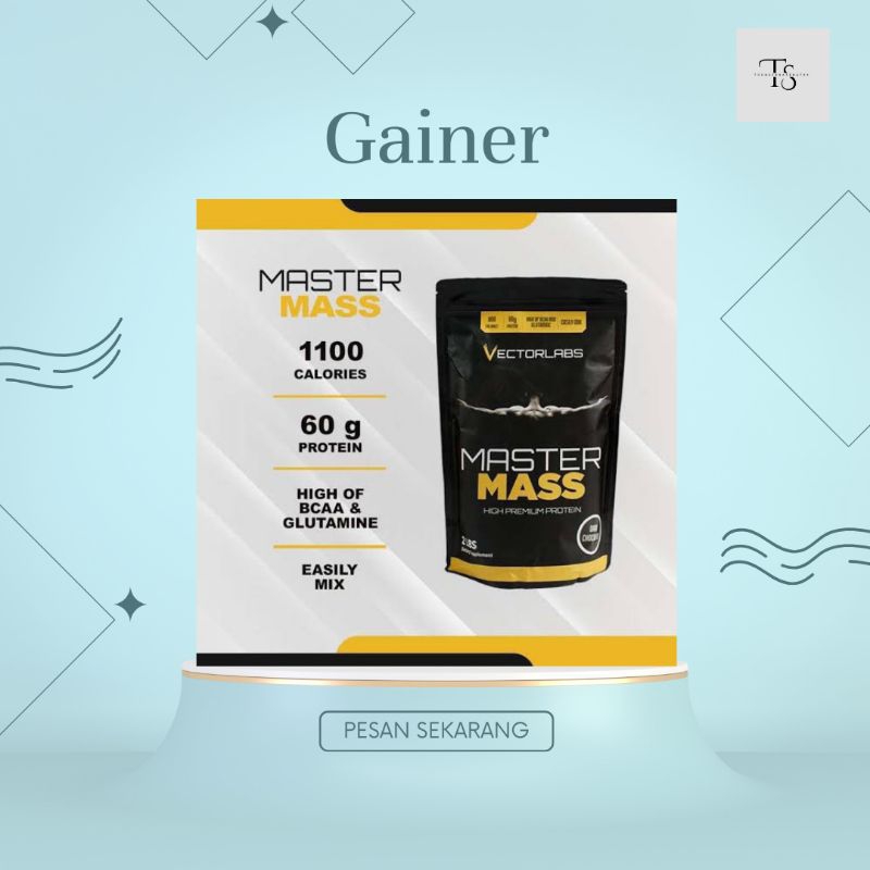 Master Mass Vectorlabs 12lbs