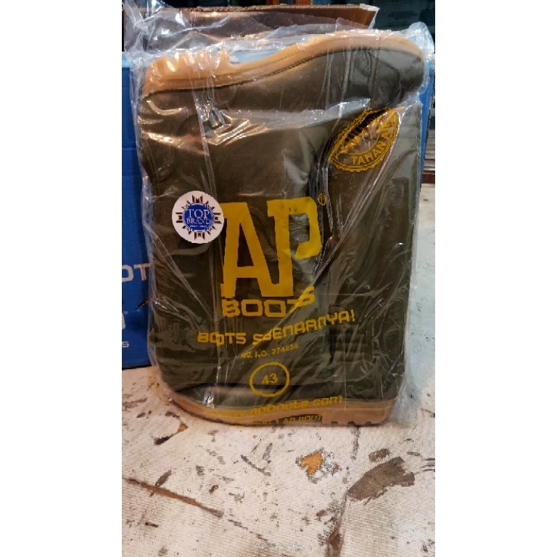 AP boot terra