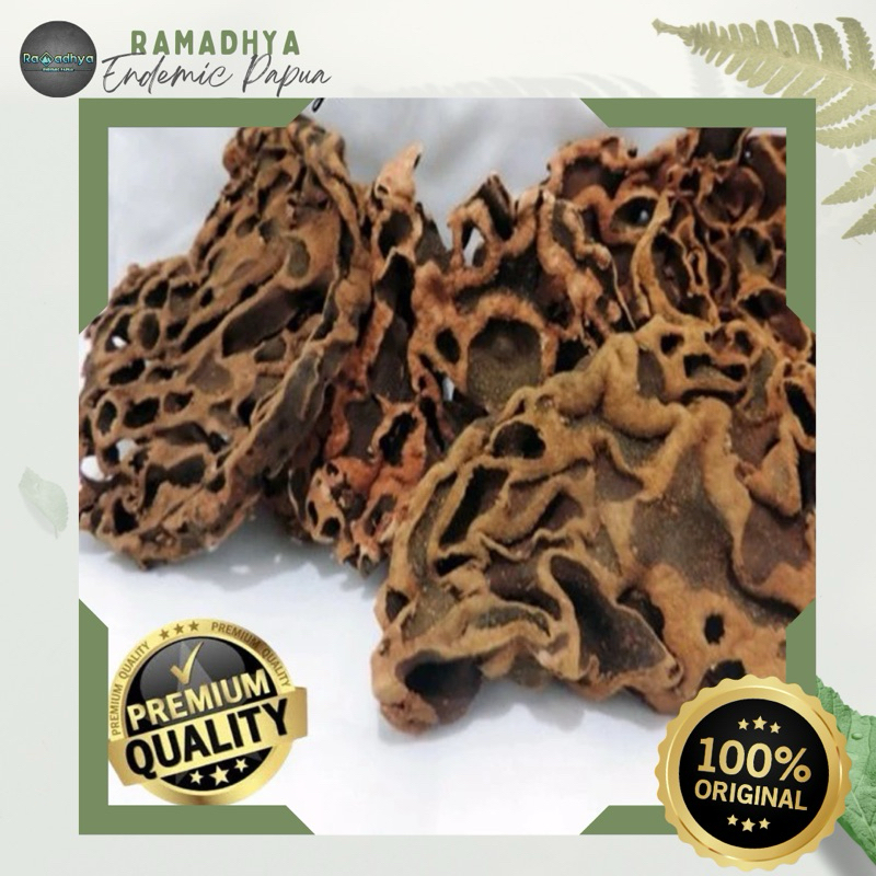 

Sarang Semut Asli Papua Original 100% ANTI KANKER!! Sarang Semut Merah Duri Asli Papua