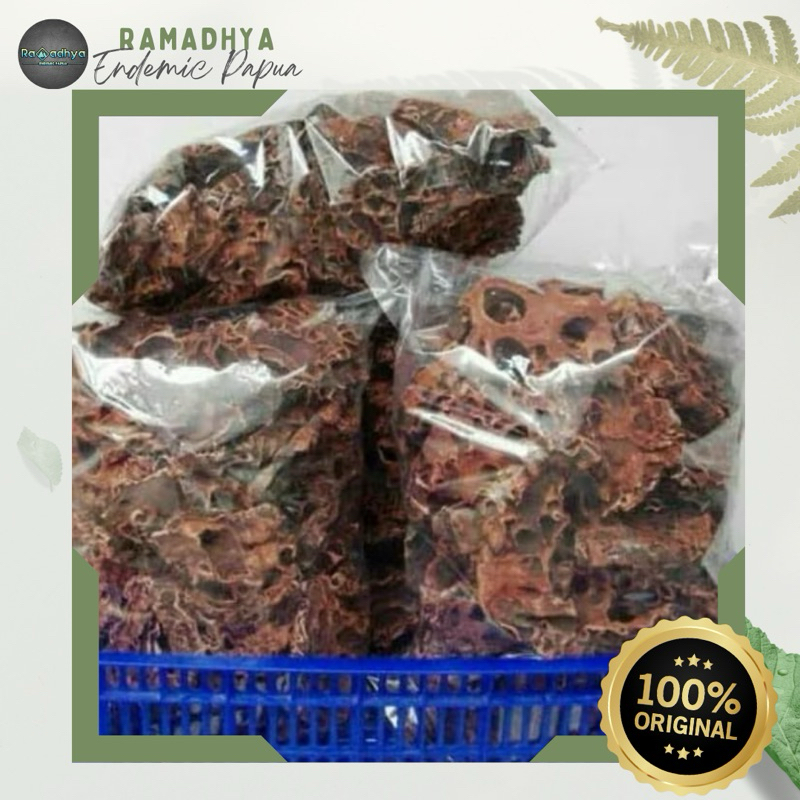 

Sarang Semut Asli Papua Original 100% Sarang Semut Papua Kering 500gr / Menjaga Kesehatan