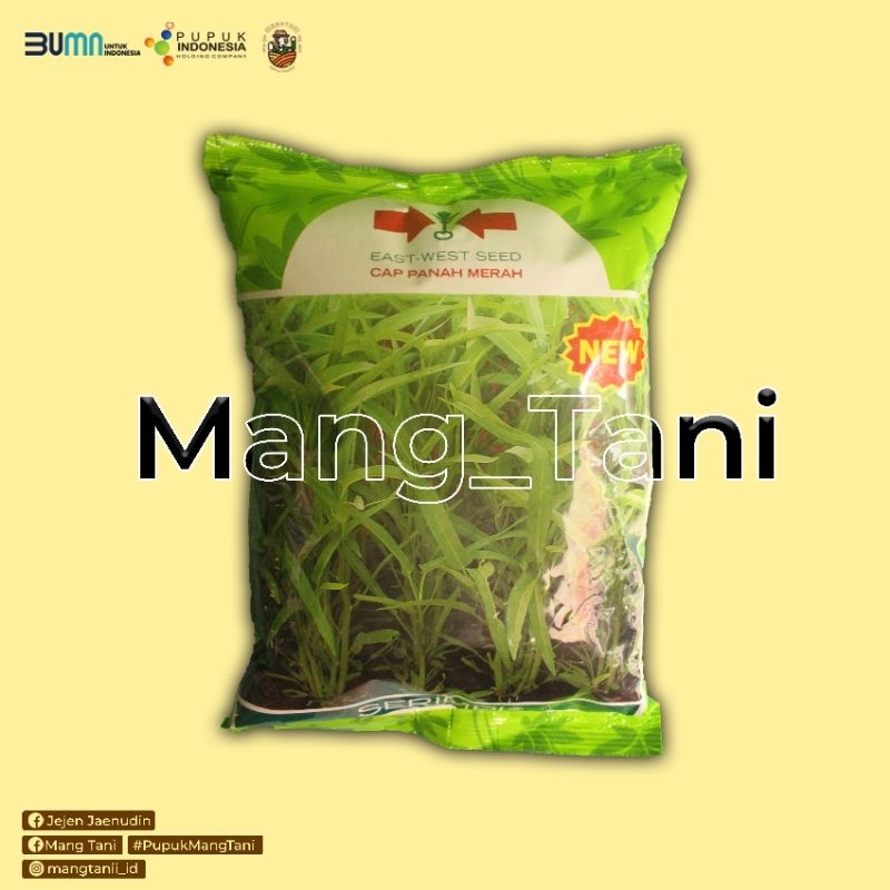 Bibit Kangkung Serimpi 1kg - Solusi Budidaya Kangkung