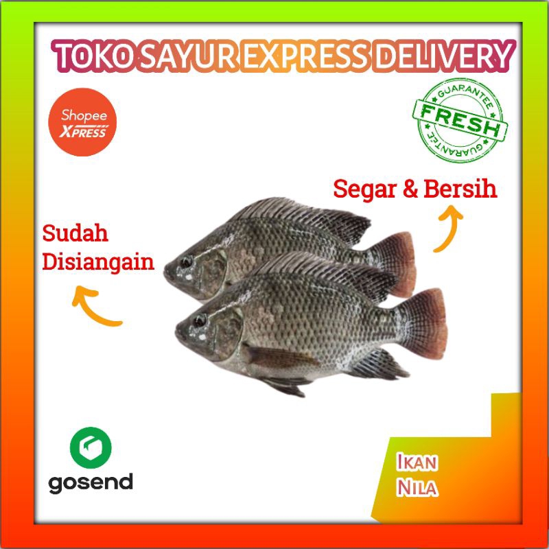 

Ikan Nila Fresh - Sayur Express Palembang