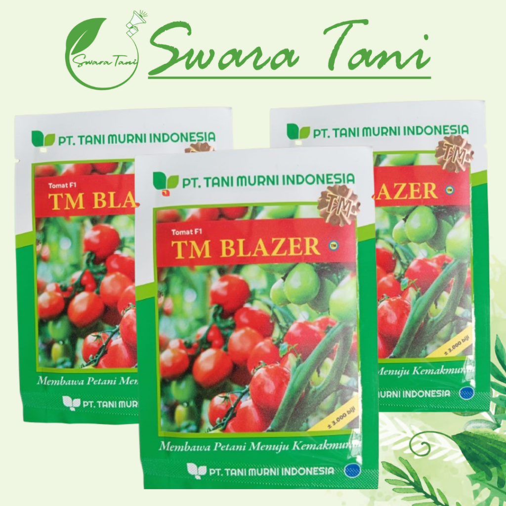 Benih Tomat F1 TM BLAZER 3.000biji