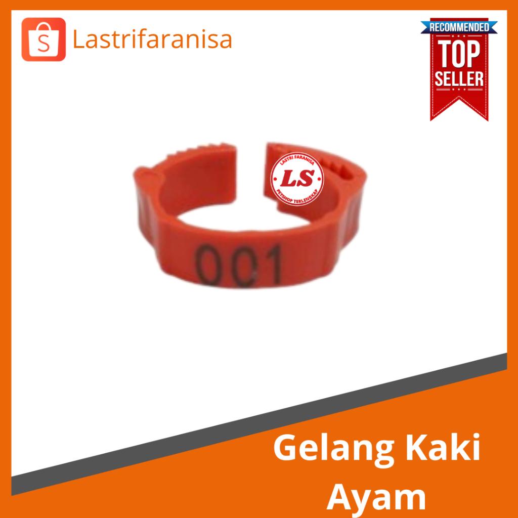 GELANG KAKI Ayam Ring Kaki Ayam Gelang Kaki Ayam