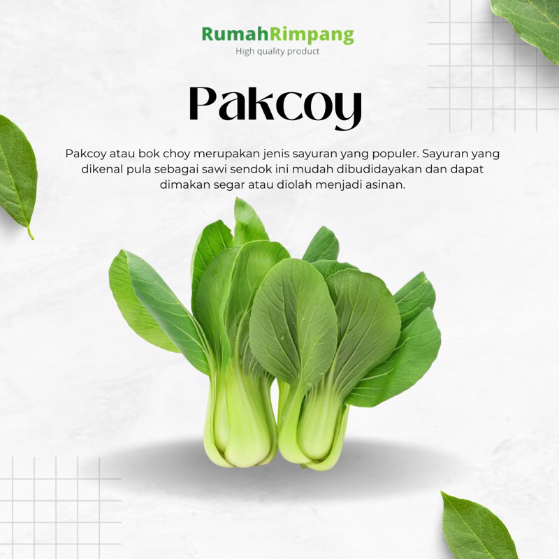 

[BISA INSTAN] JUAL SAYUR PAKCOY FRESH - KEMASAN 250 GR