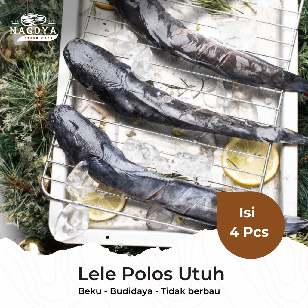 

Lele Utuh Polos - By Dadio Fish | Lele | Fillet | Budidaya