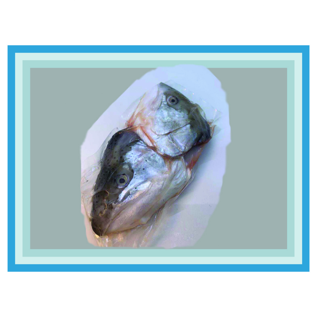 

Kepala Ikan Salmon Frozen - 1 Kepala