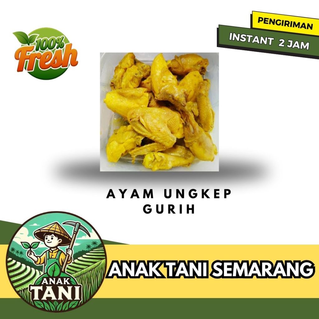 

[ANAK TANI] AYAM UNGKEP BUMBU KUNING GURIH PER 4 PCS SIAP GORENG KIRIM INSTANT AREA SEMARANG