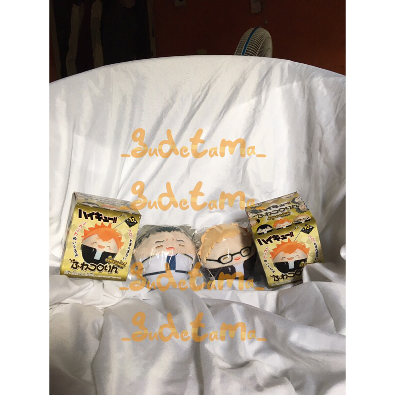FUWAKORORIN HAIKYUU / Fuwa plushie Hq Special BOKUTO TSUKKI