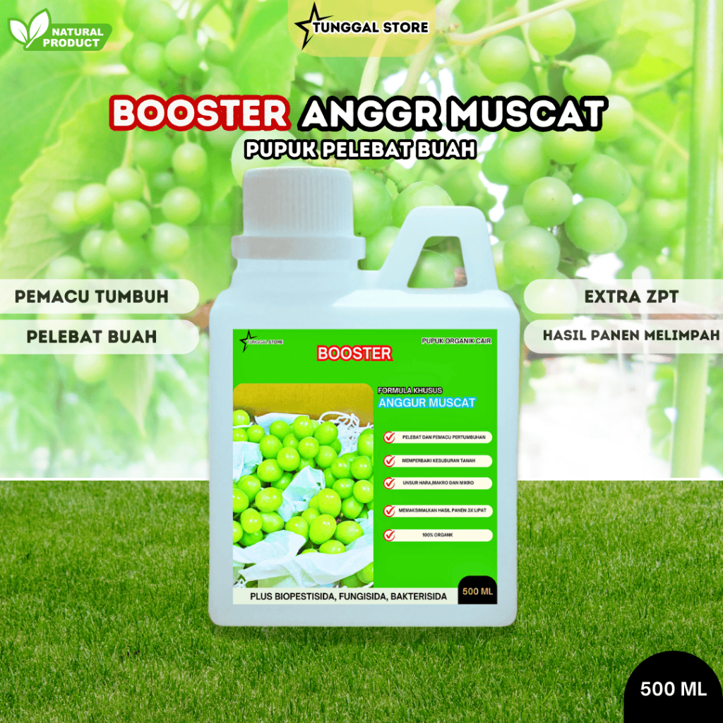 Pupuk Organik Cair Tanaman Anggur Muscat,Booster Pelebat Buah Anggur Muscat,pupuk perangsang Buah