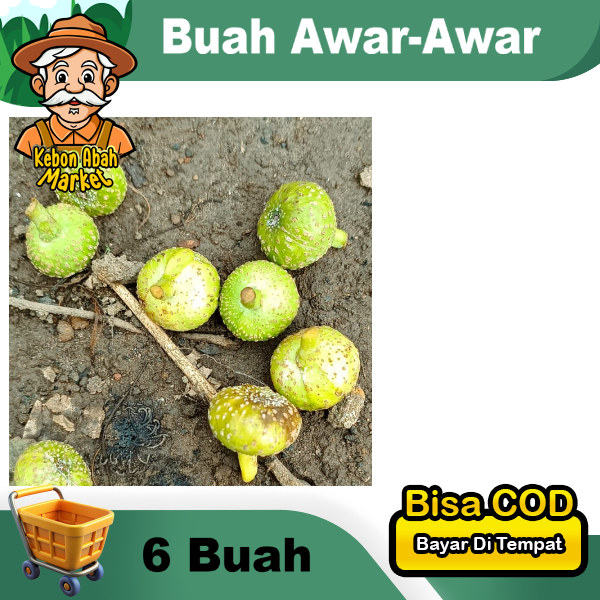 

Buah Awar-awar Per 6 Pcs