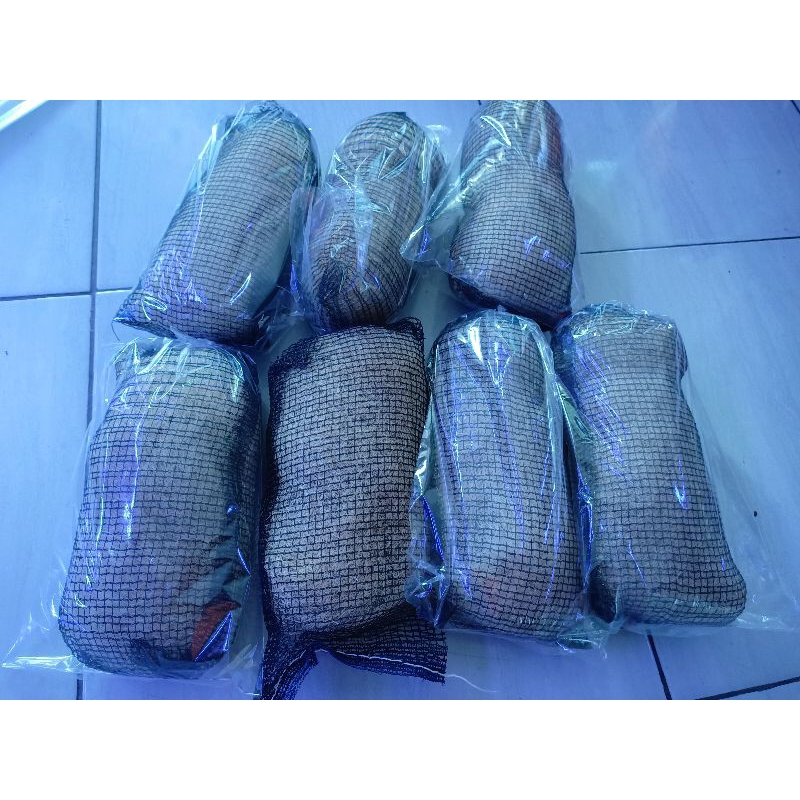 jaring nelayan untuk media filter akuarium