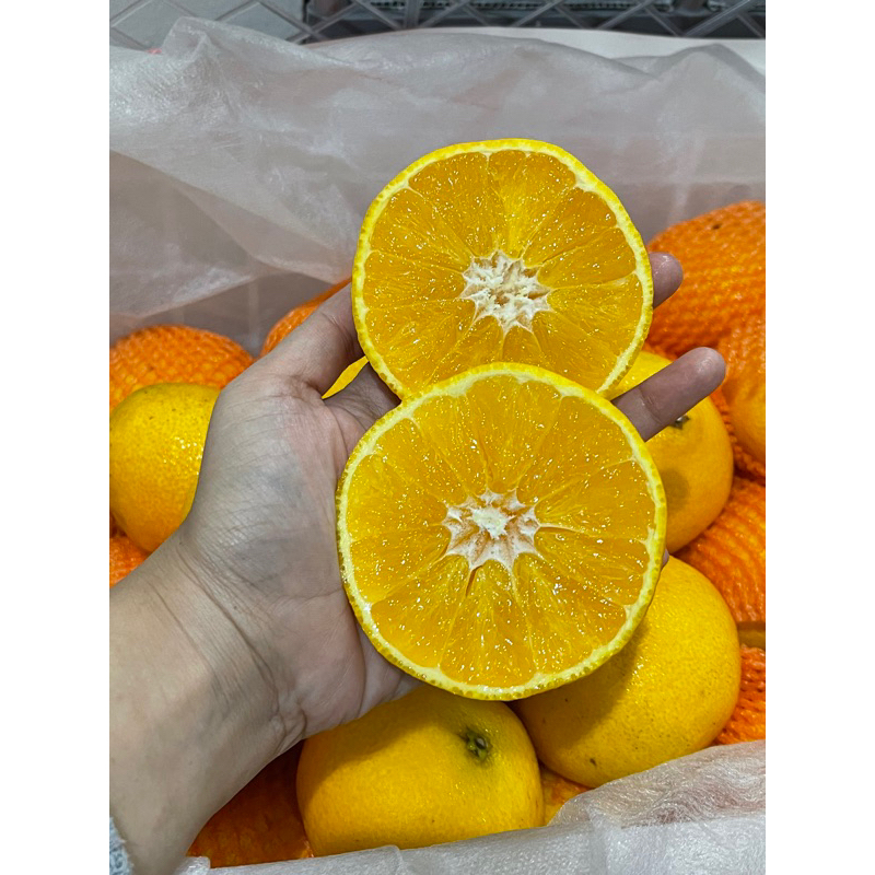 

Jeruk Aiyuan Jeruk Jelly Jeruk Kupas