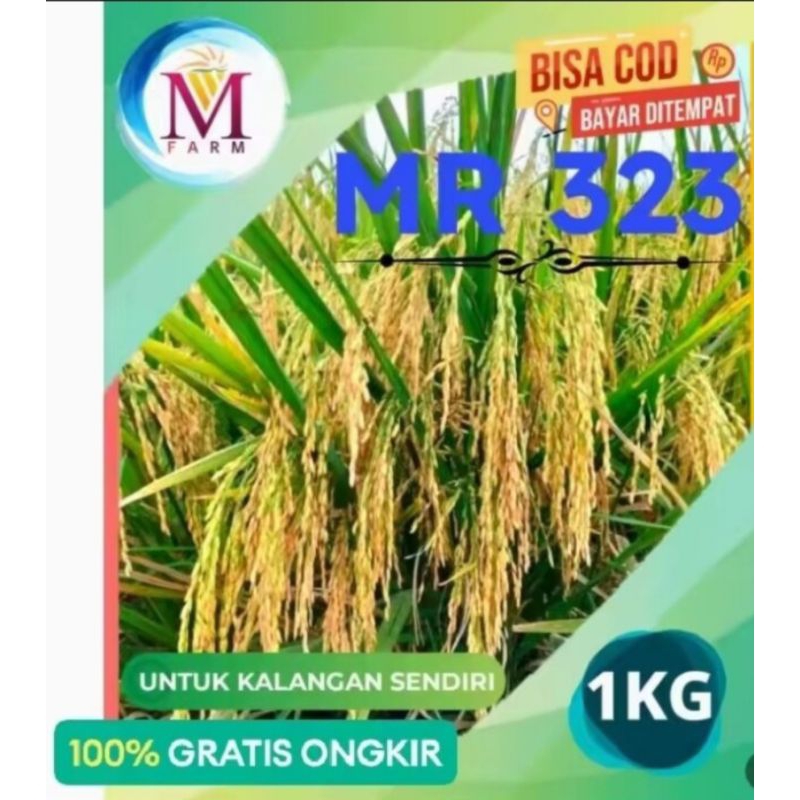 Benih padi MR 323 KEMASAN 1KG