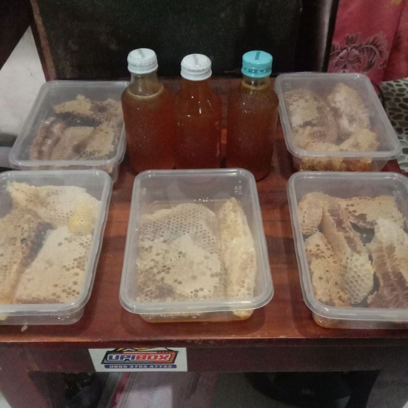 

madu hutan Temanggung lebah cerana