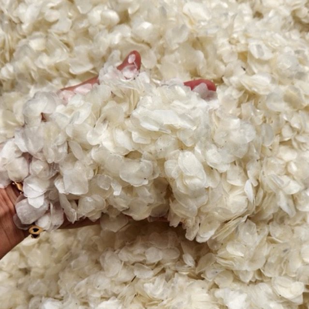 

Sisik Ikan size kecil ~ 250 gr, 500 gr, 1000 gr