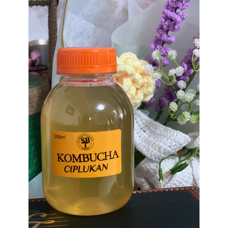 

KOMBUCHA POHON CIPLUKAN 250ml