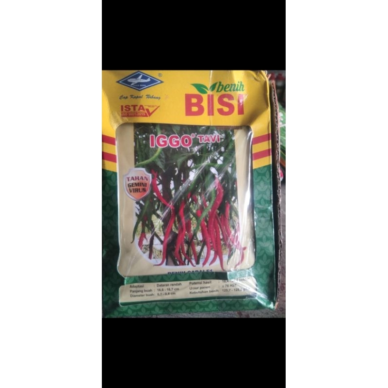 

cabe iggo tavy, original pabrik