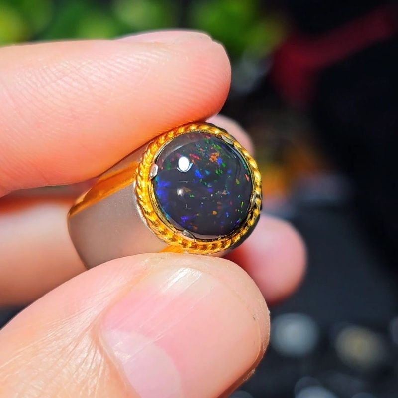black opal abu solid banten