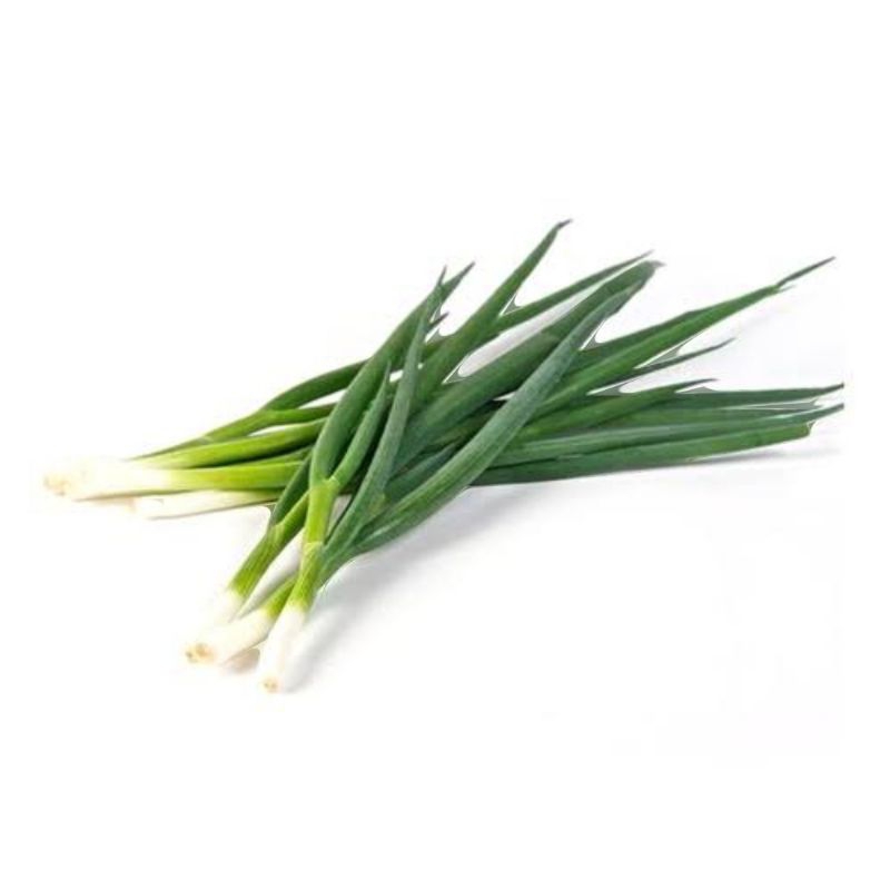 

bawang daun fresh segar besar besar 250grm