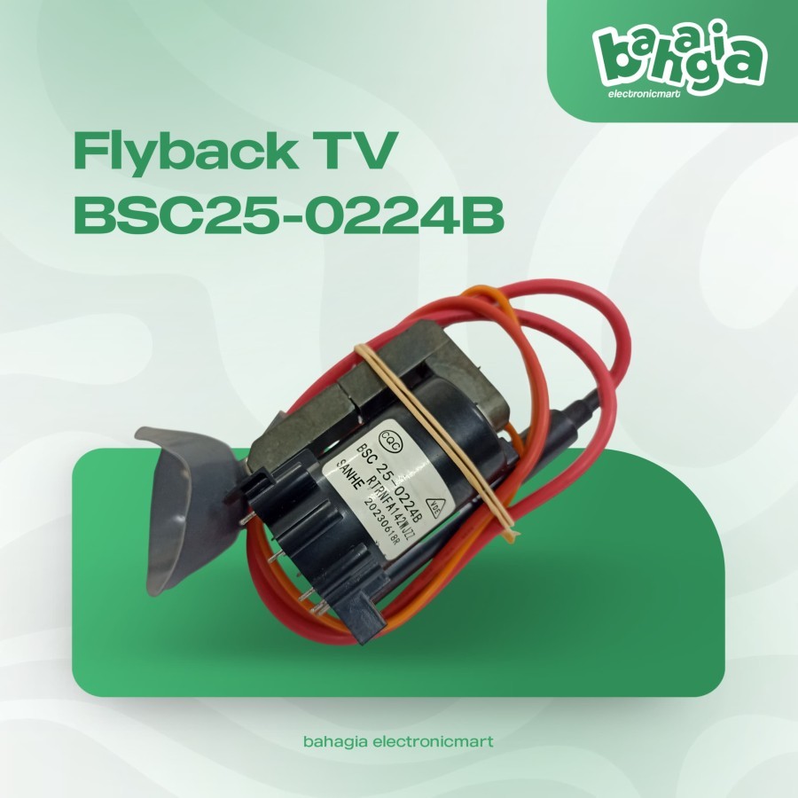 Playback / flyback tv bsc25-0224B / Flyback Tv BSC25-0224B RTRNFA142WJZZ
