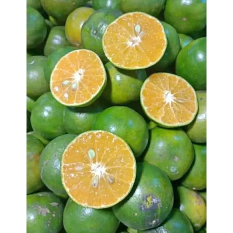 

Jeruk Peras 1kg / jus / buah